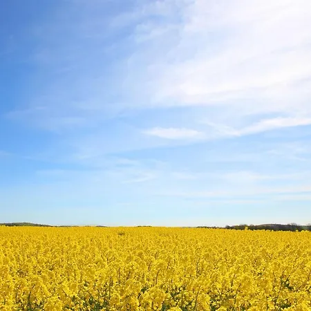 Appartamento Nah Am Meer, Ruhige Lage, Gratis Nutzung Vom Ahoi Erlebnisbad Und Sauna In Sellin - Haus Buednerstube 2 Middelhagen